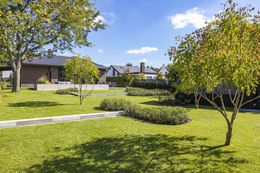 Foto van een recent tuinproject van Thomas Erkens