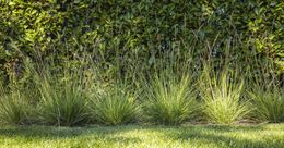 Foto van een recent tuinproject van Thomas Erkens